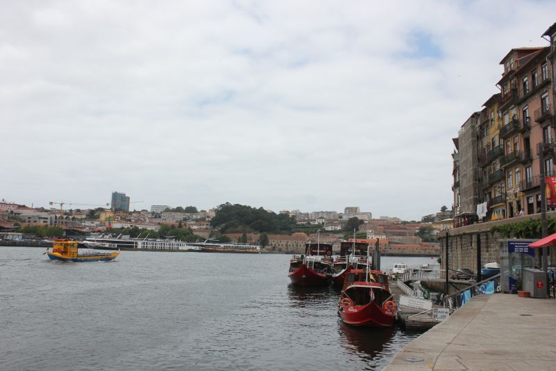IMG_4230~0.JPG