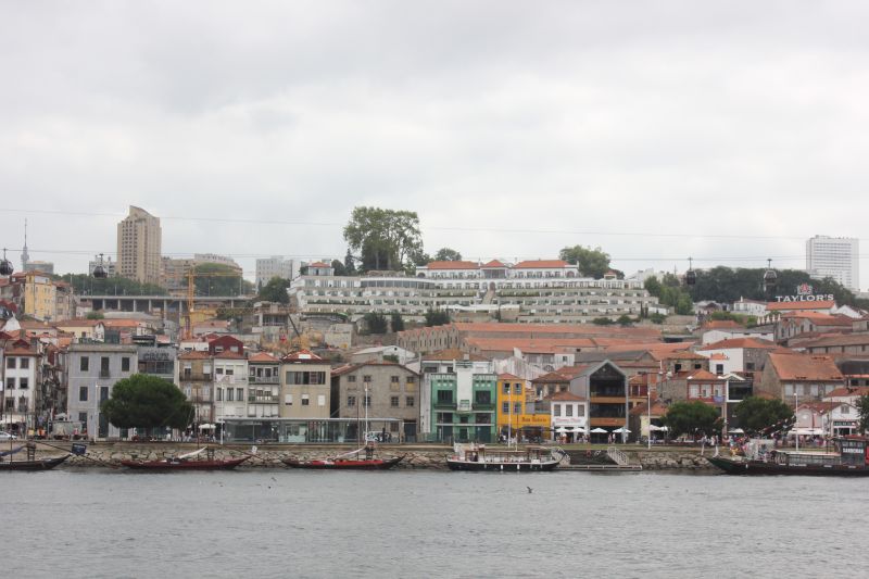IMG_4231~2.JPG