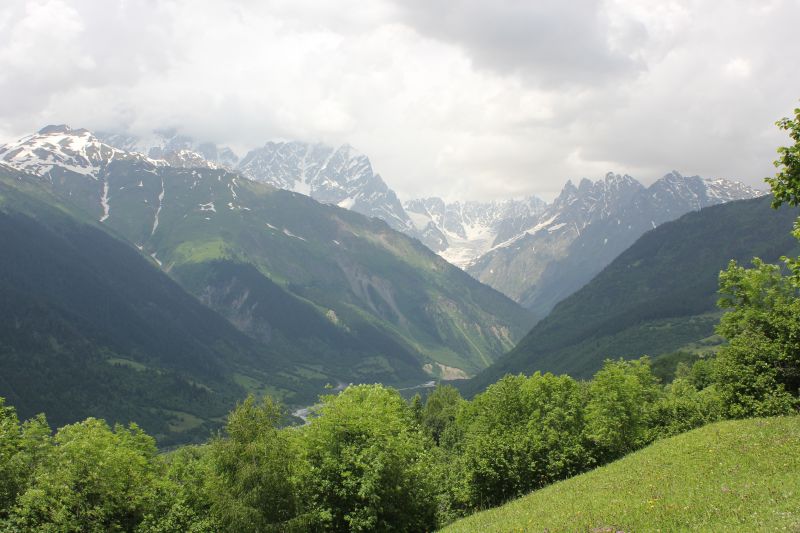 IMG_4237~1.JPG