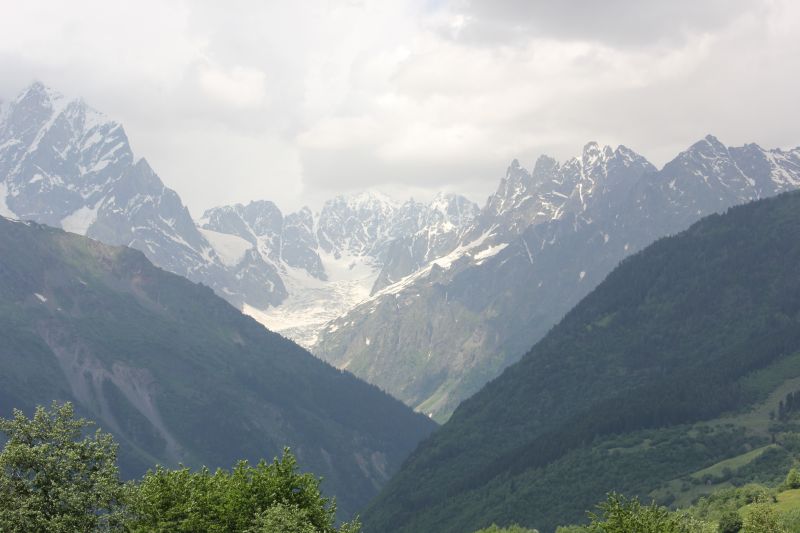 IMG_4241~1.JPG