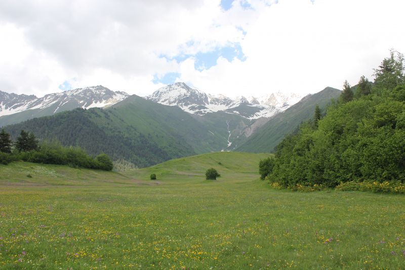 IMG_4261~1.JPG