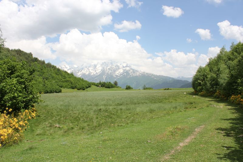 IMG_4270~1.JPG