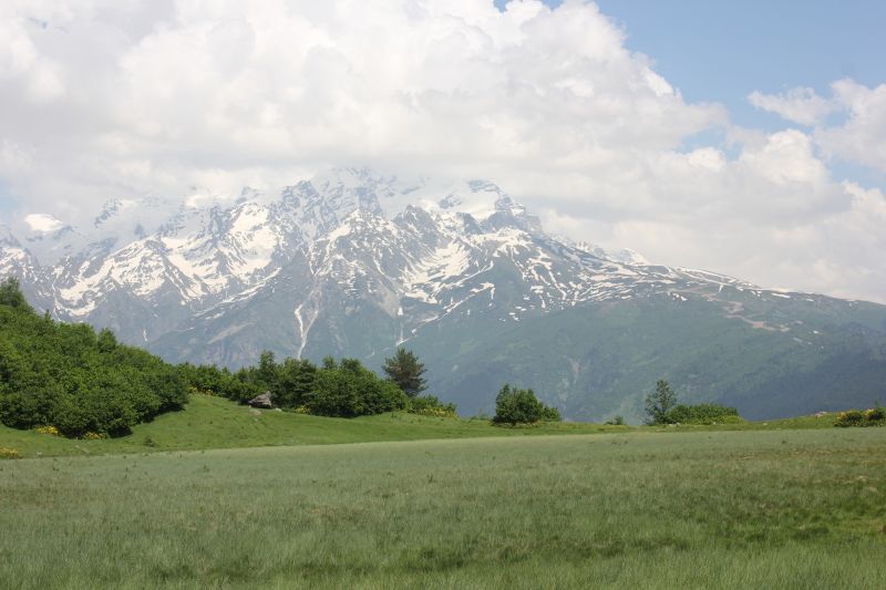 IMG_4271~1.JPG