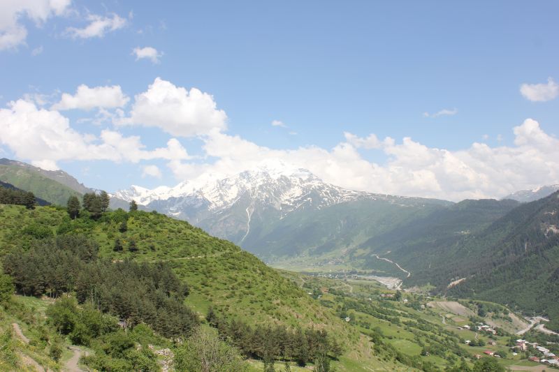 IMG_4310~1.JPG