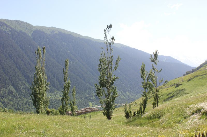 IMG_4311~1.JPG