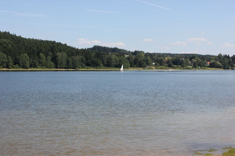 IMG_4378.JPG