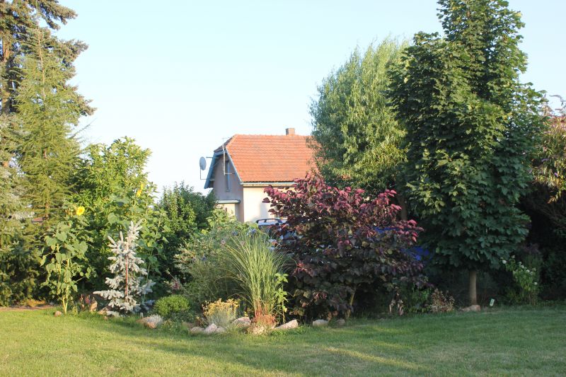 IMG_4408~1.JPG