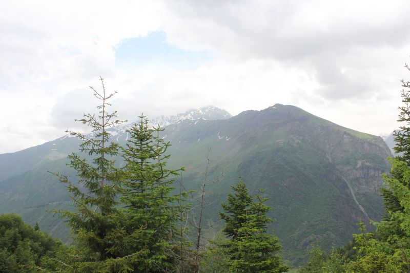 IMG_4438~0.JPG