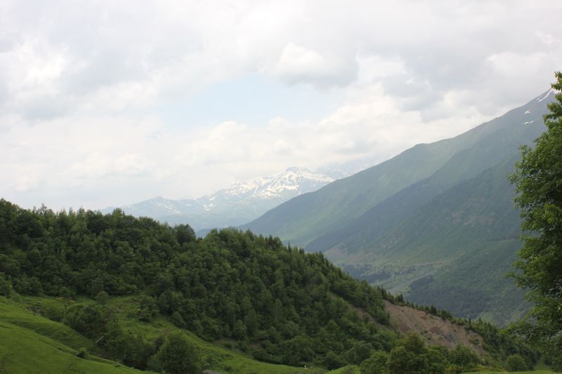 IMG_4439~1.JPG