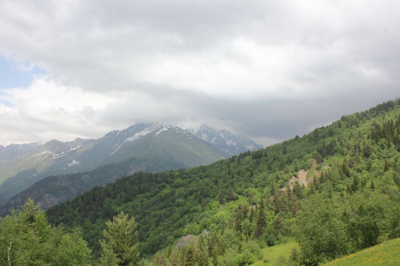IMG_4447~0.JPG