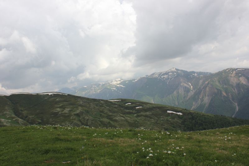 IMG_4557~0.JPG