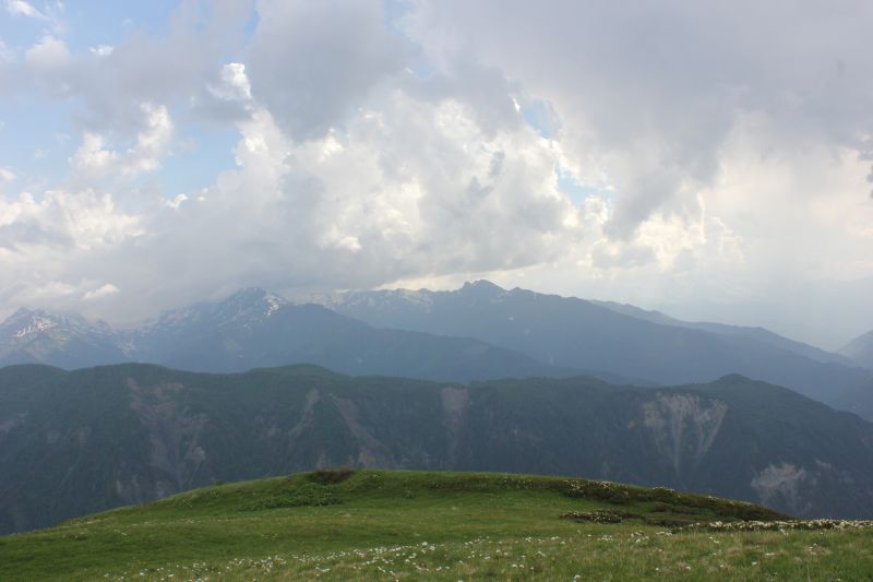IMG_4560~0.JPG