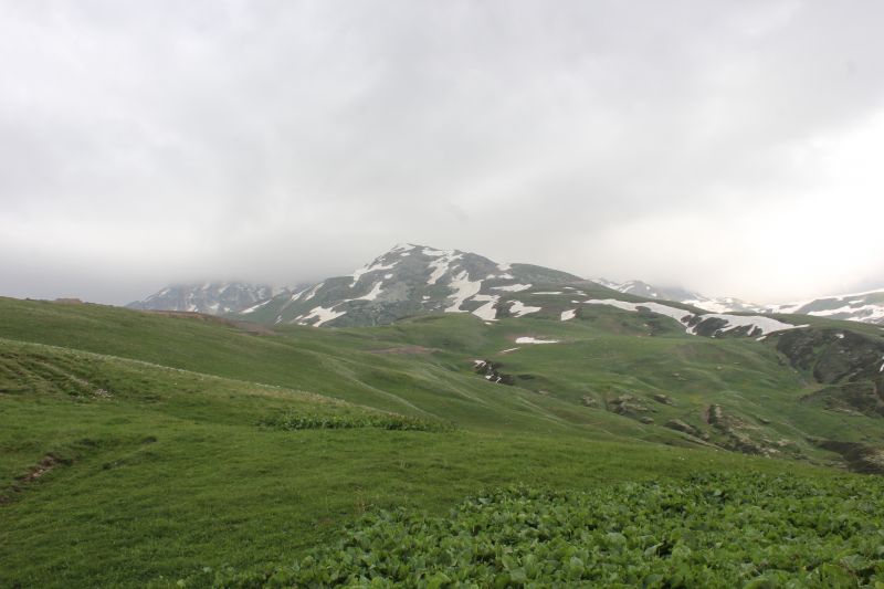 IMG_4565~0.JPG