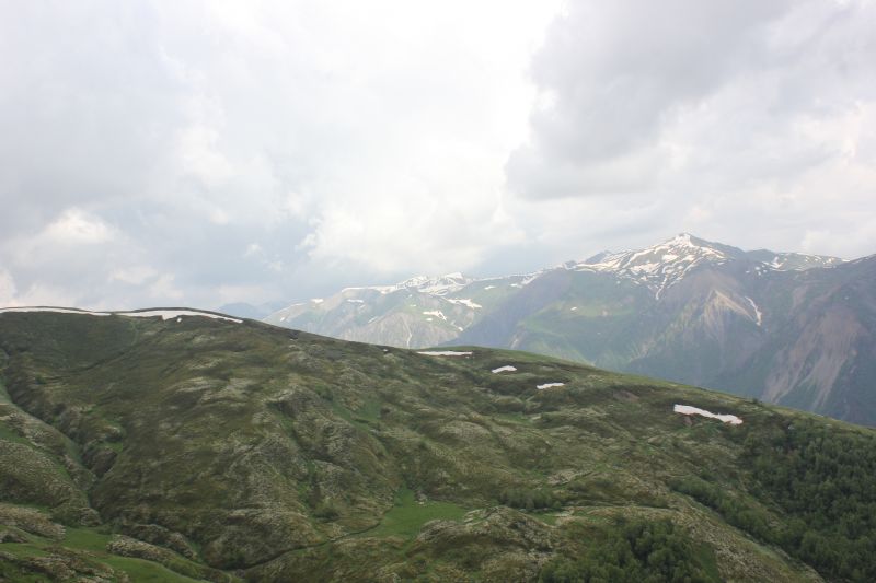 IMG_4566.JPG