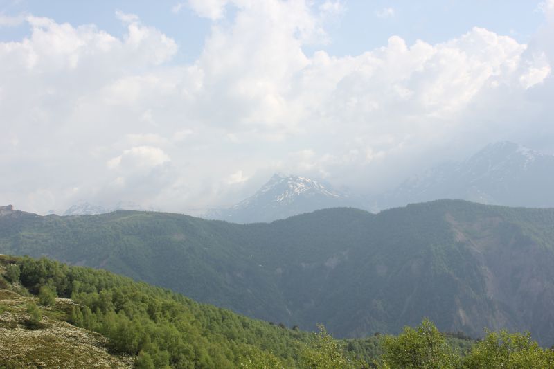 IMG_4571~0.JPG