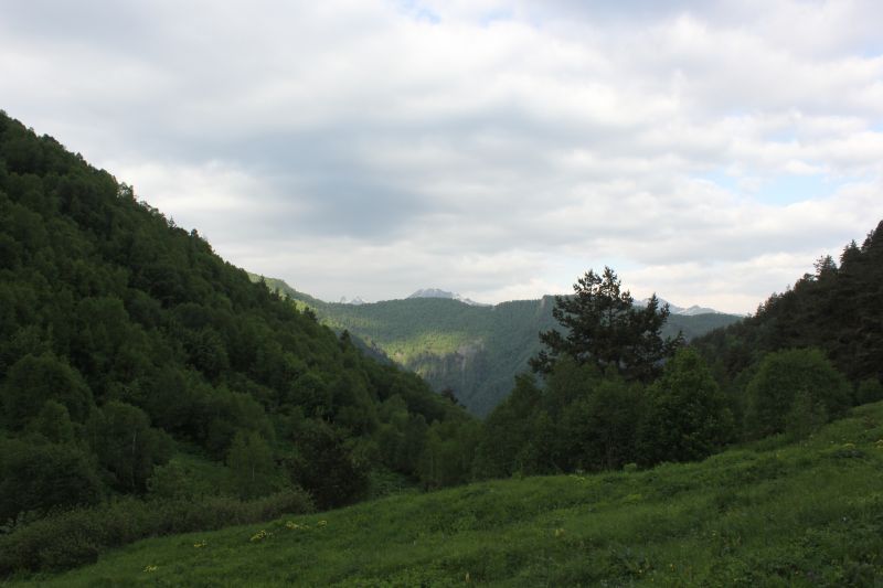IMG_4578~0.JPG