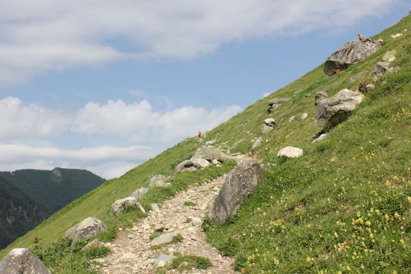 Adishi
Klíčová slova: Adishi