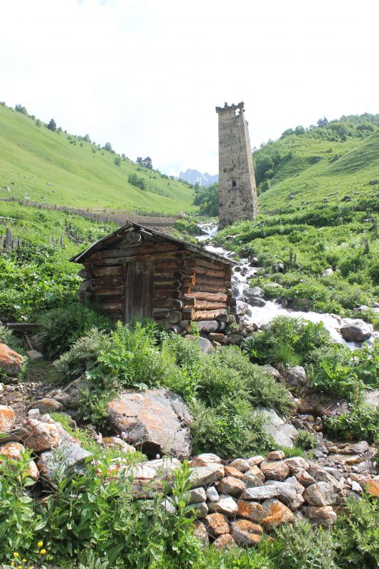 Adishi
Klíčová slova: Adishi