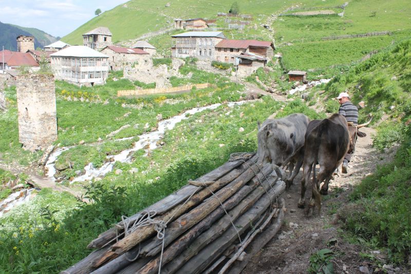 Adishi
Klíčová slova: Adishi