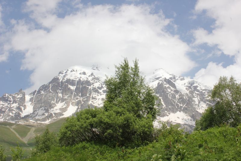 IMG_4700~0.JPG