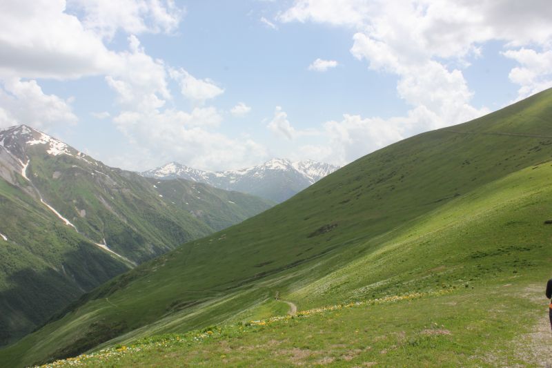 IMG_4763.JPG