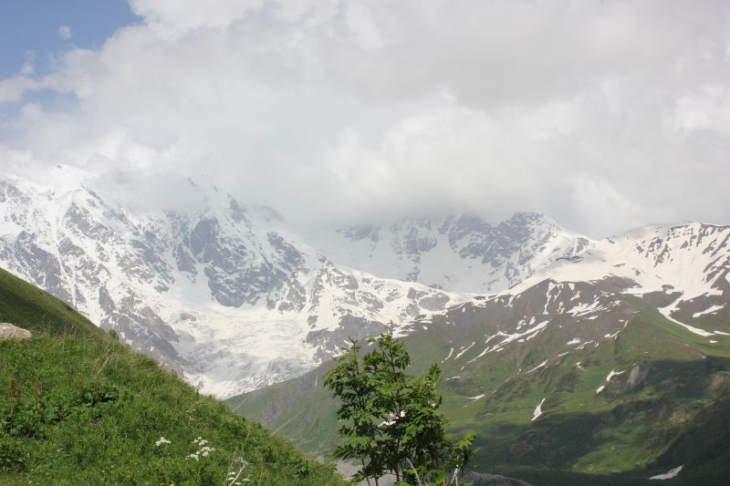 IMG_4769.JPG