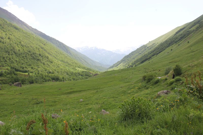 IMG_4783~0.JPG