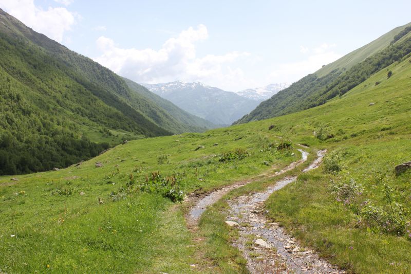 IMG_4788.JPG