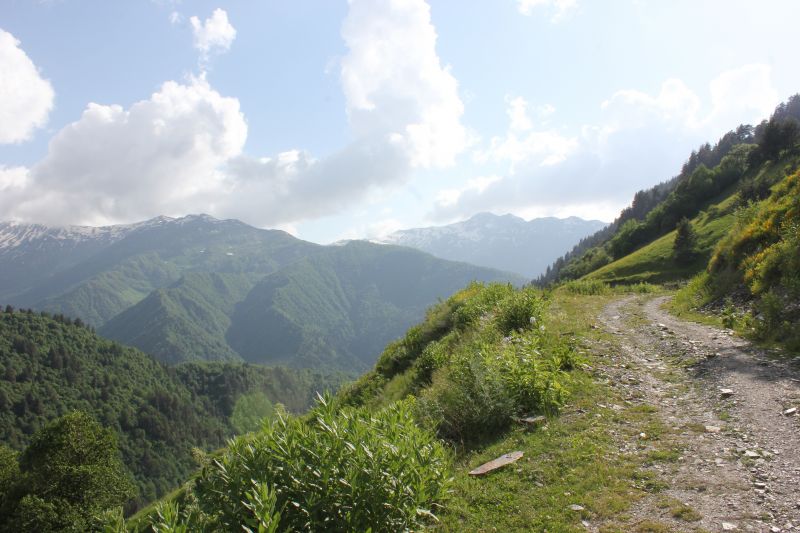 IMG_4826~0.JPG