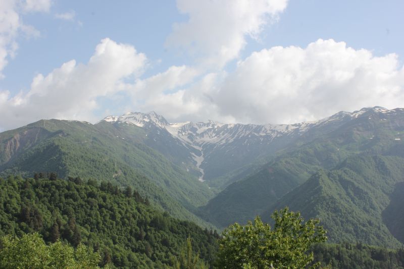 IMG_4831~0.JPG