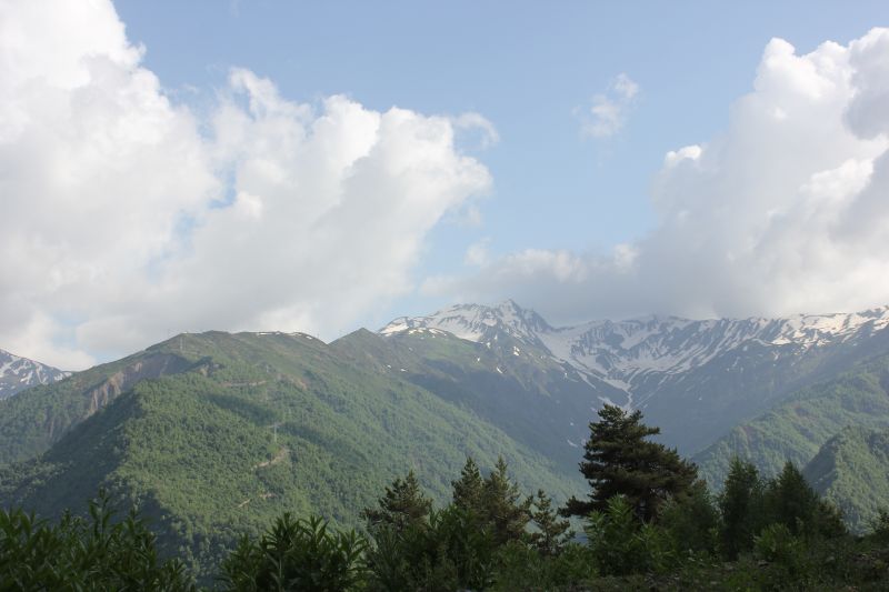 IMG_4837~0.JPG