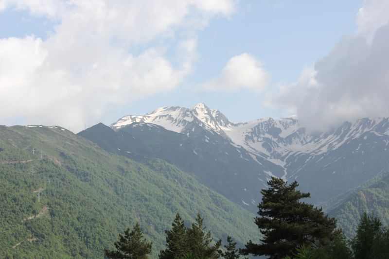 IMG_4839~0.JPG