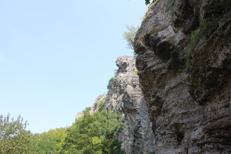 IMG_5018~1.JPG