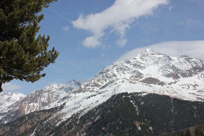 IMG_5131.JPG