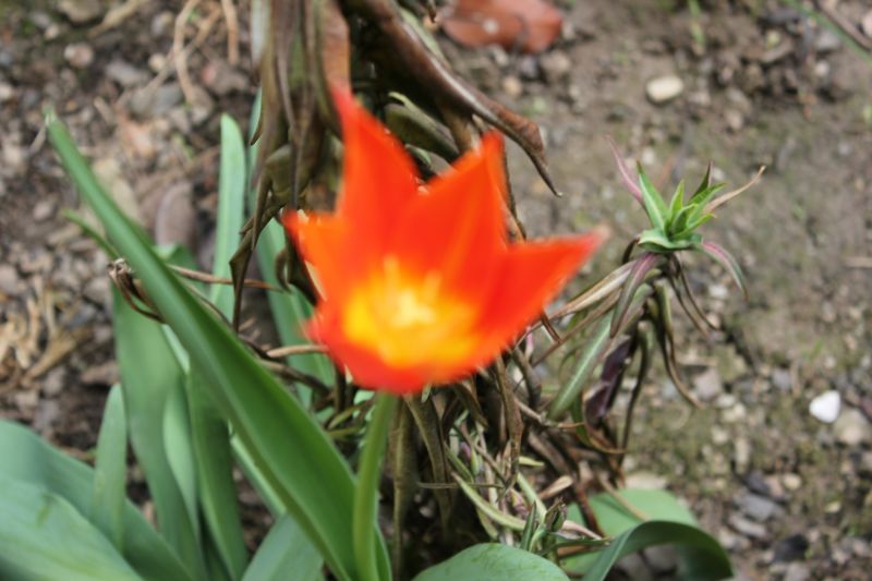 IMG_5288.JPG