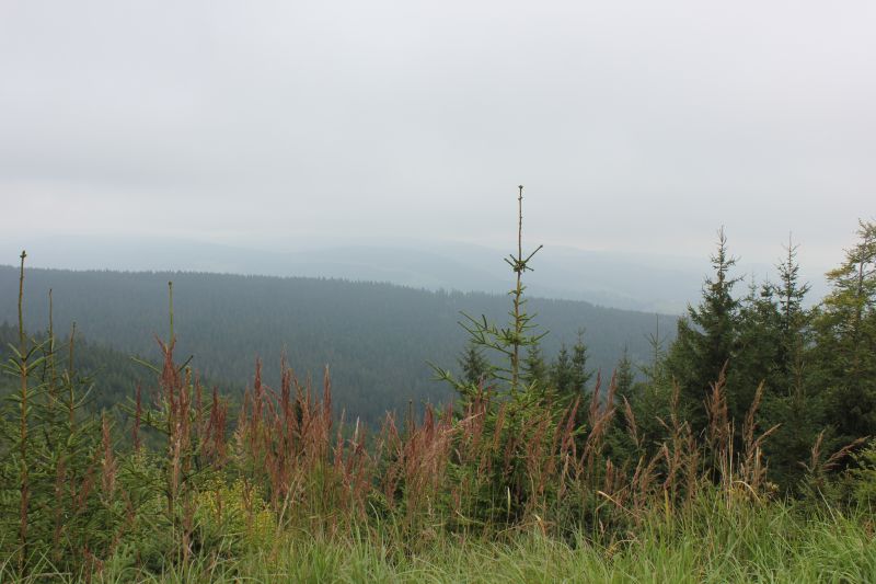 IMG_5290~2.JPG
