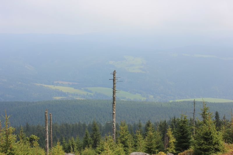 IMG_5337~2.JPG