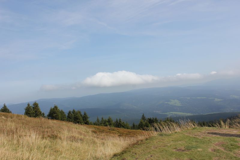 IMG_5366~1.JPG