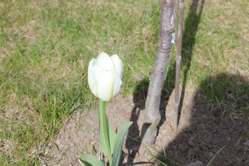 IMG_5450.JPG