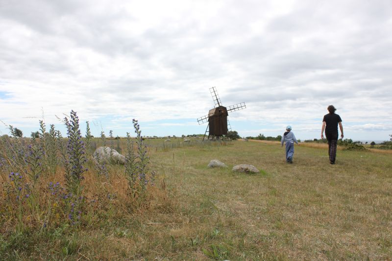 IMG_5521~0.JPG