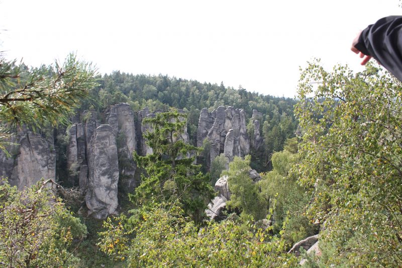 IMG_5658.JPG