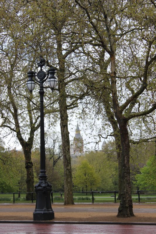 Big Ben z The Mall
