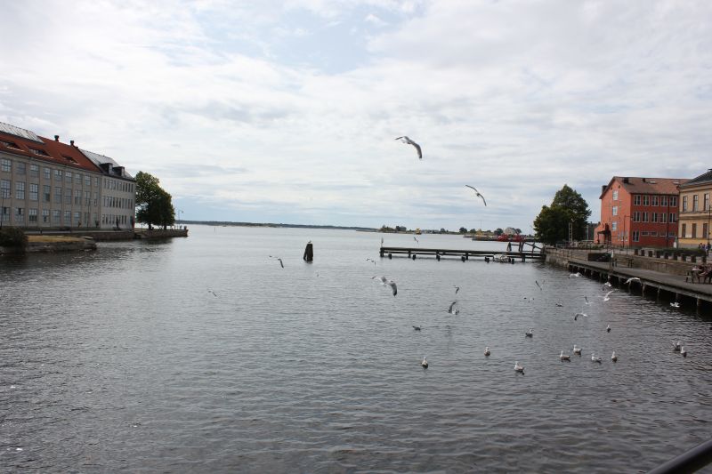 IMG_5832.JPG