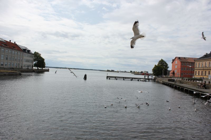 IMG_5833~0.JPG
