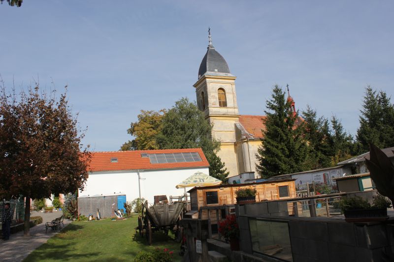 IMG_5896.JPG