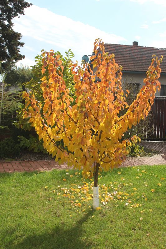 říjen 13
