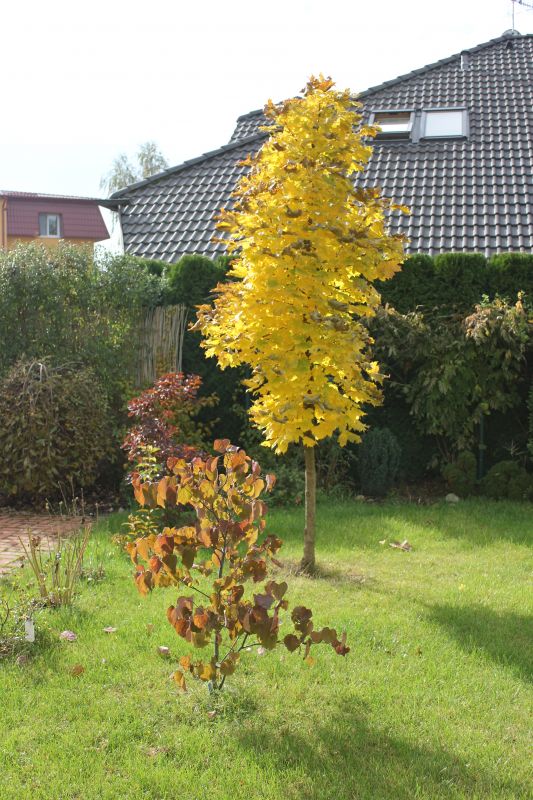 říjen 13
