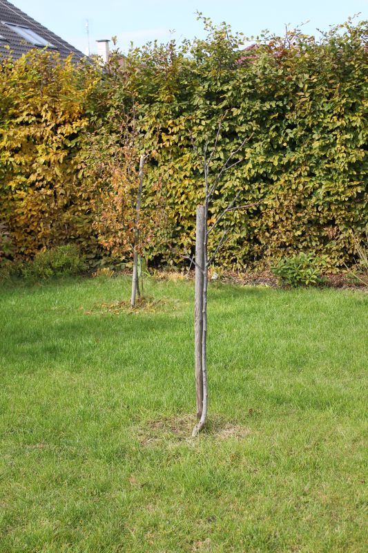 říjen 13
