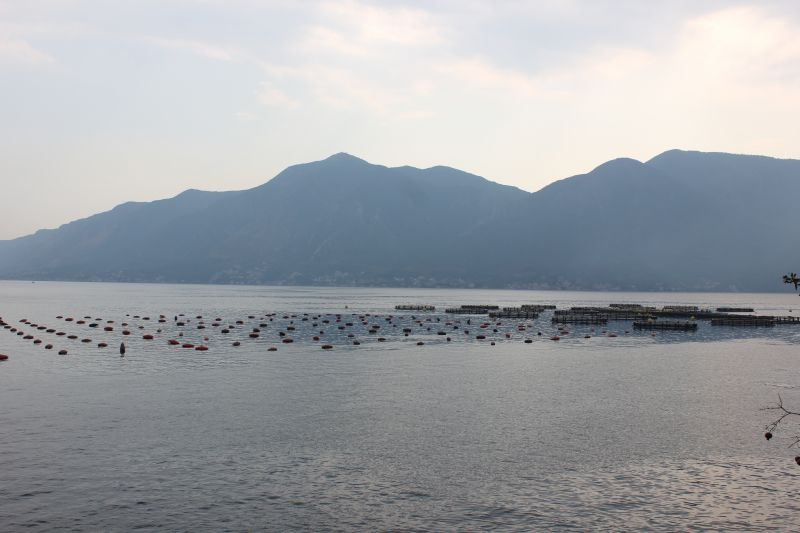 IMG_6327~1.JPG