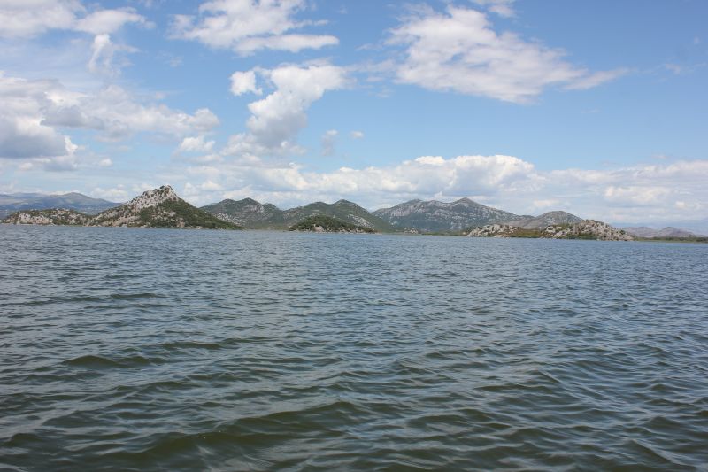 IMG_7016~1.JPG